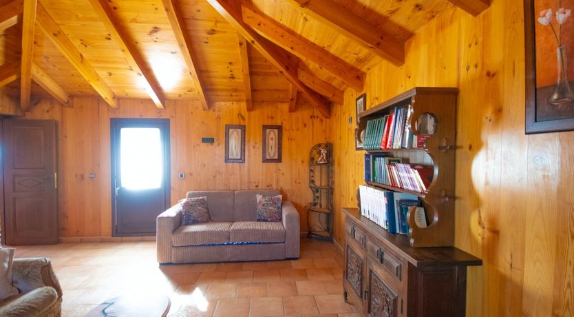 Photo of Citrus Dreams