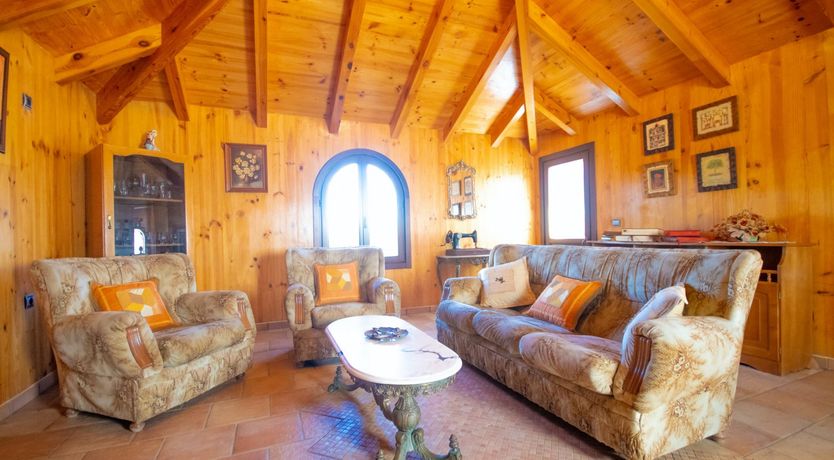 Photo of Citrus Dreams