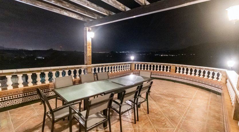 Photo of Citrus Dreams