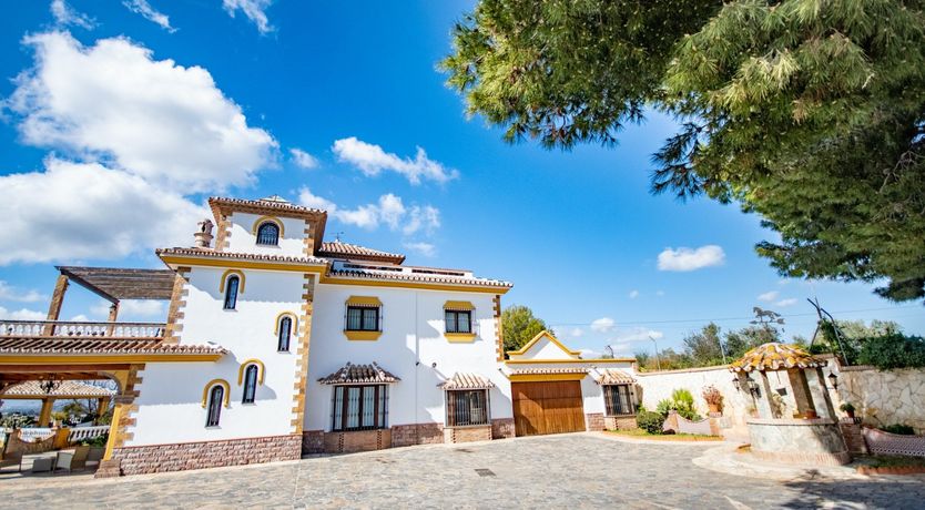 Photo of Citrus Dreams