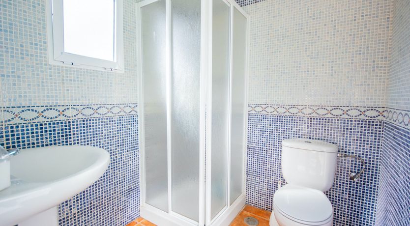 Photo of Citrus Dreams