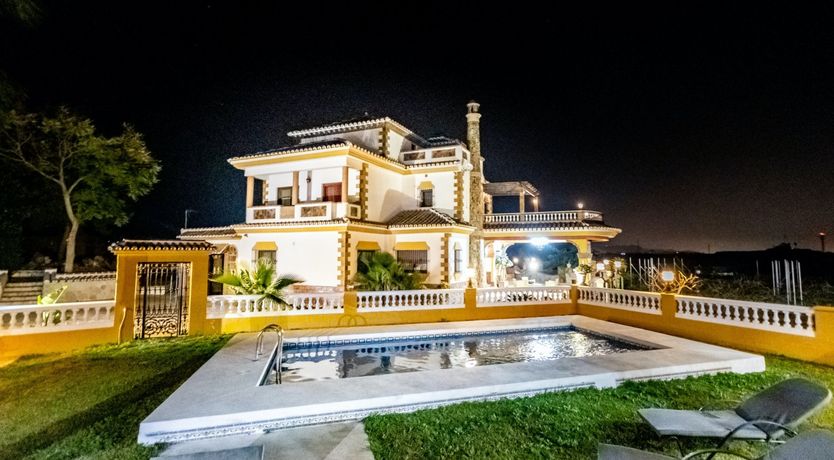 Photo of Citrus Dreams