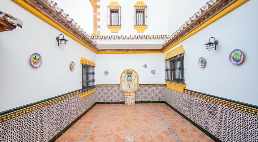 Photo of Citrus Dreams