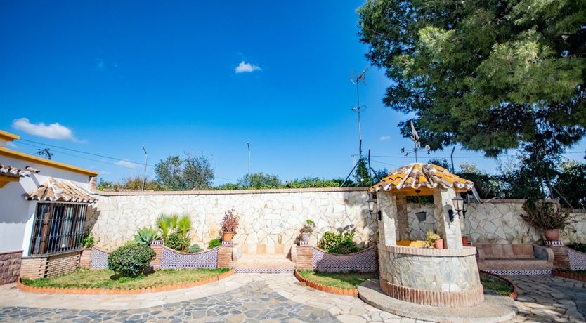 Photo of Citrus Dreams