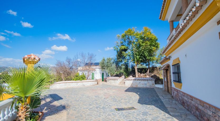 Photo of Citrus Dreams