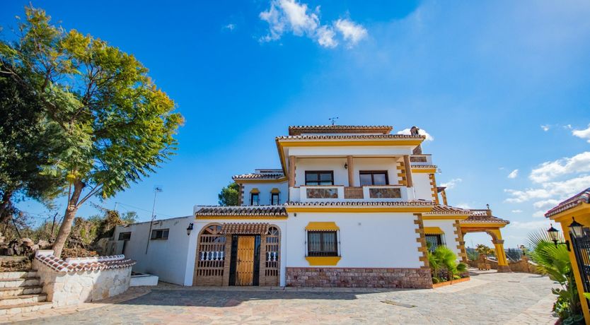 Photo of Citrus Dreams