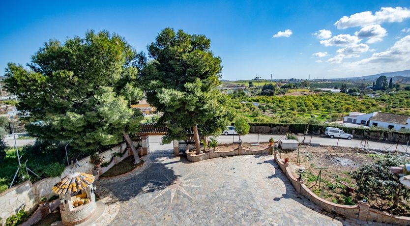 Photo of Citrus Dreams