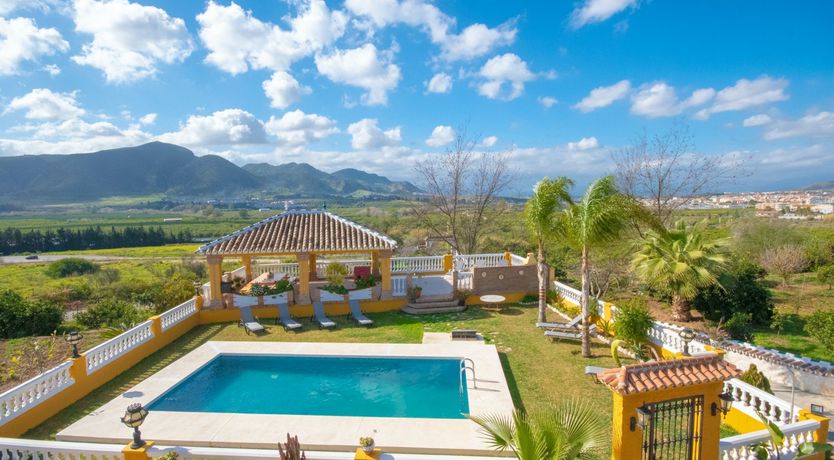 Photo of Citrus Dreams