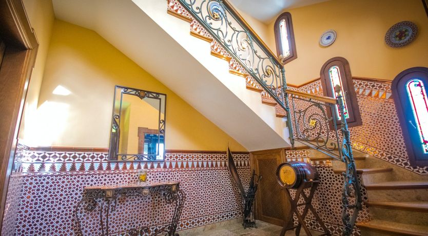 Photo of Citrus Dreams