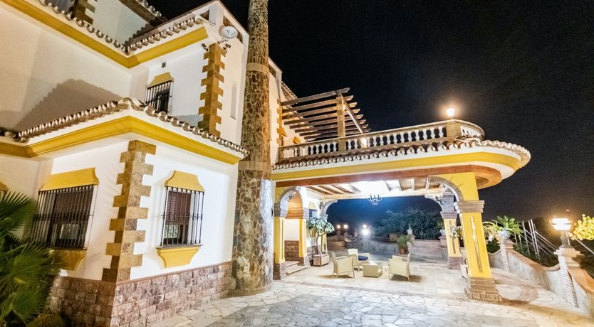 Photo of Citrus Dreams