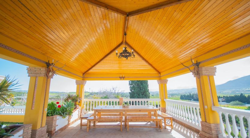 Photo of Citrus Dreams