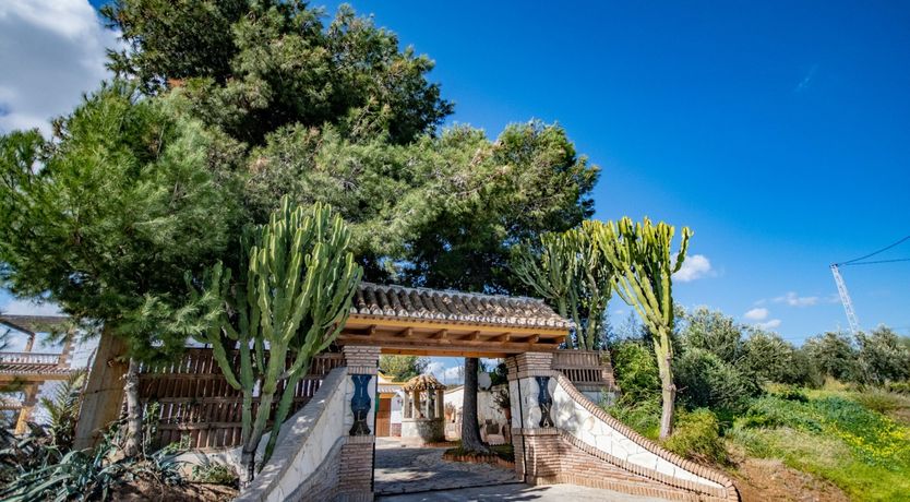 Photo of Citrus Dreams