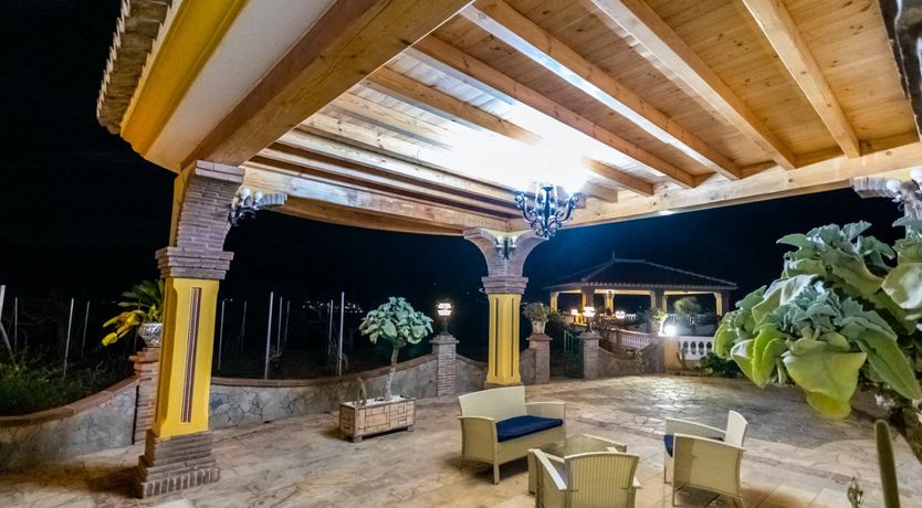 Photo of Citrus Dreams