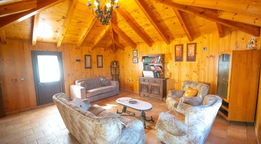 Photo of Citrus Dreams