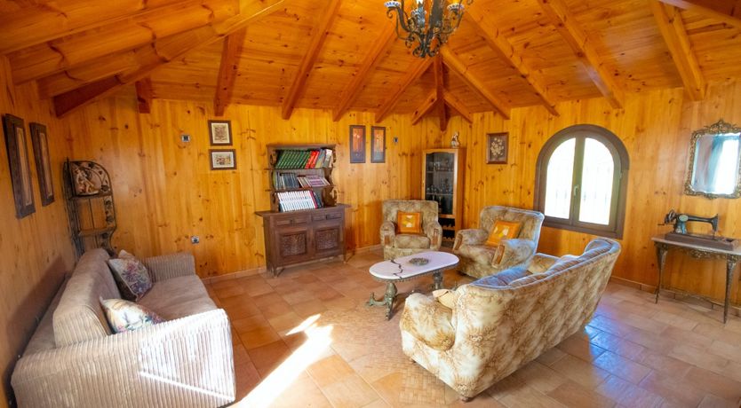 Photo of Citrus Dreams