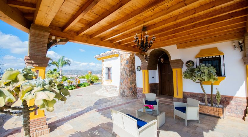 Photo of Citrus Dreams