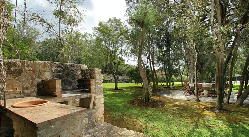 Photo of Sunshine Dreams