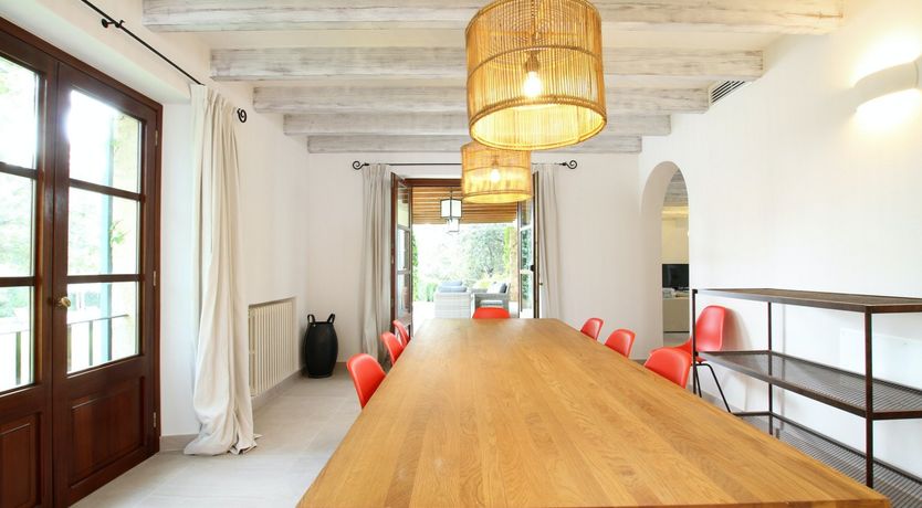 Photo of Sunshine Dreams