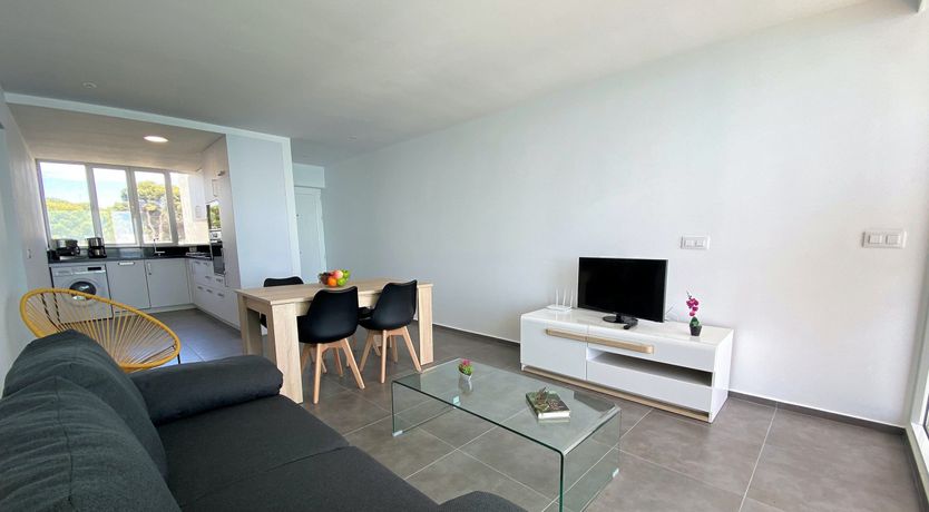 Photo of Gulls of the Sea