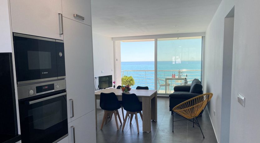 Photo of Gulls of the Sea