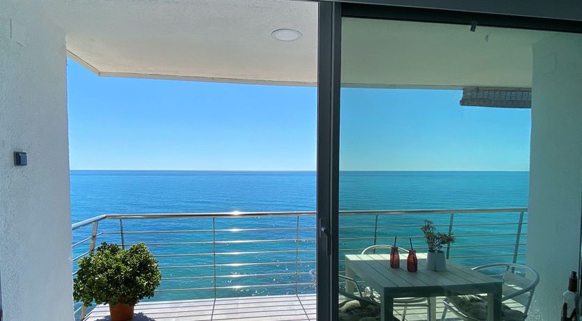 Photo of Gulls of the Sea