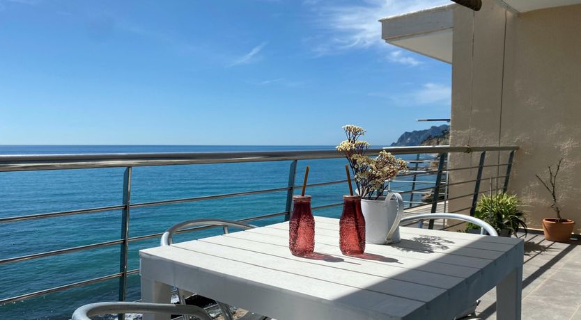 Photo of Gulls of the Sea