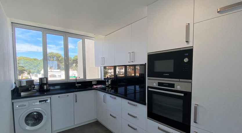 Photo of Gulls of the Sea