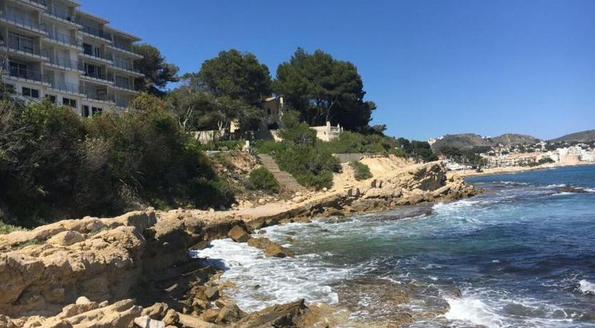 Photo of Gulls of the Sea
