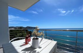 Photo of gulls-of-the-sea