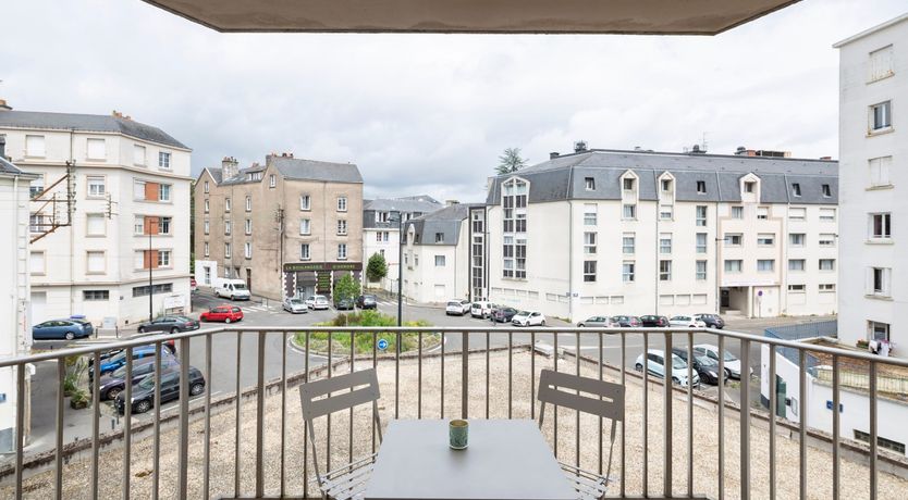 Photo of The French Sunflower