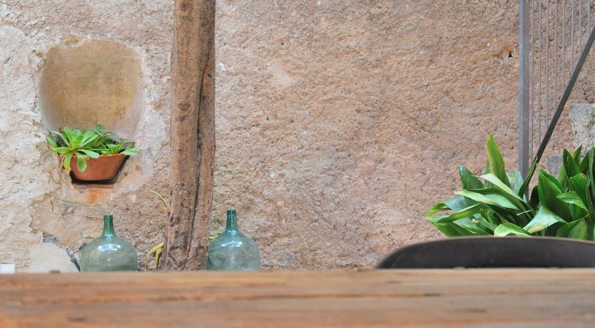 Photo of Swimming Under the Bridge