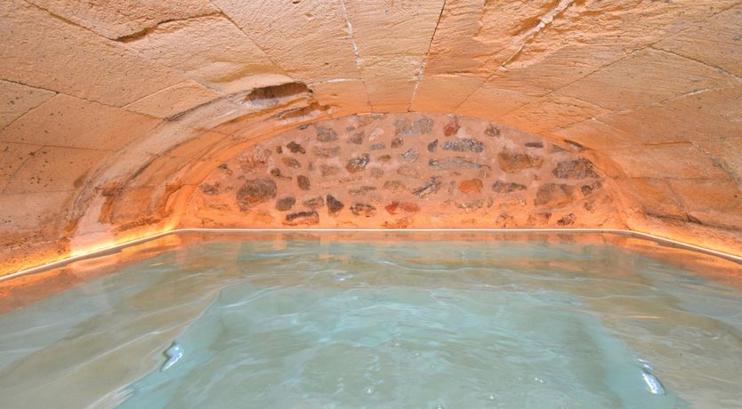 Photo of Swimming Under the Bridge