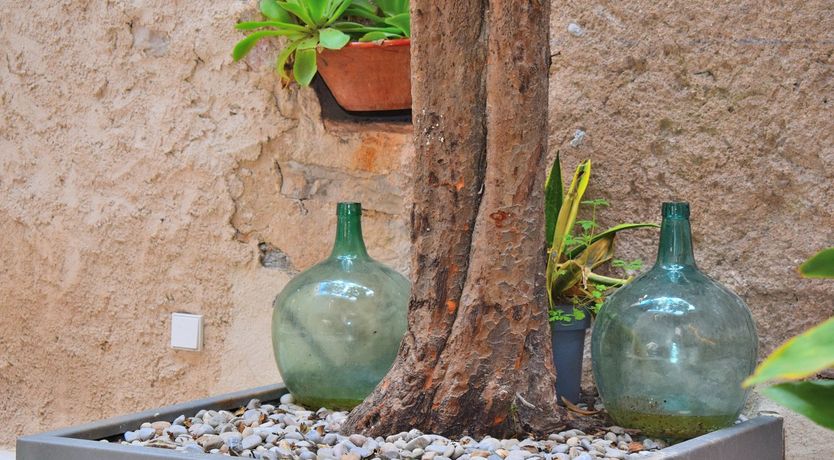 Photo of Swimming Under the Bridge