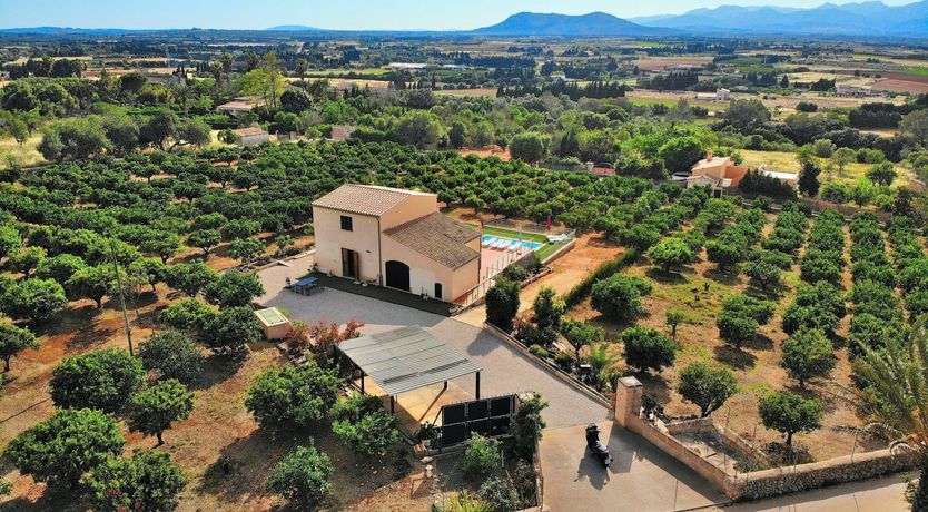 Photo of Saffron Sunrise