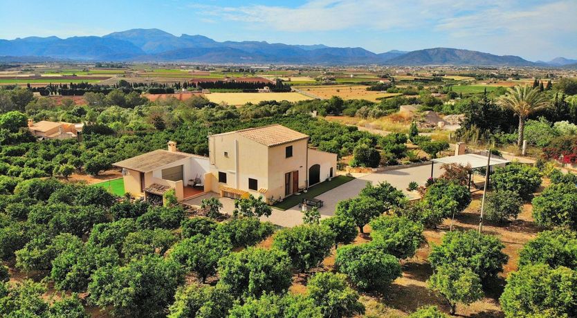 Photo of Saffron Sunrise