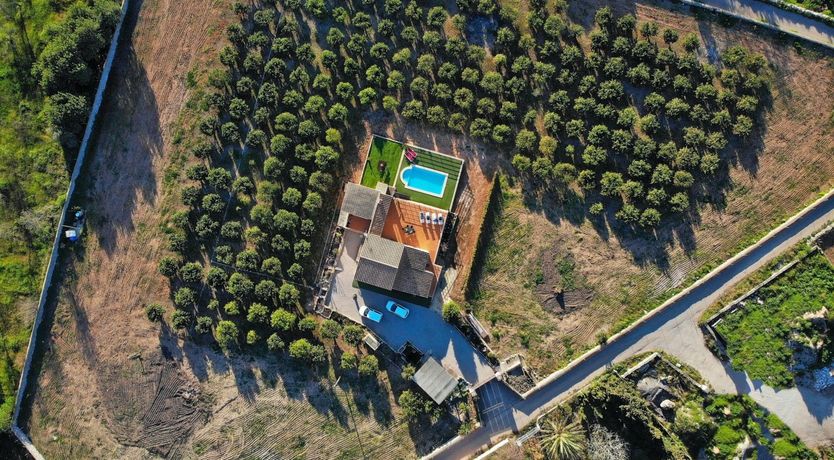 Photo of Saffron Sunrise