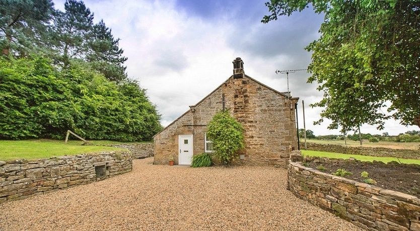 Photo of Casting Stones