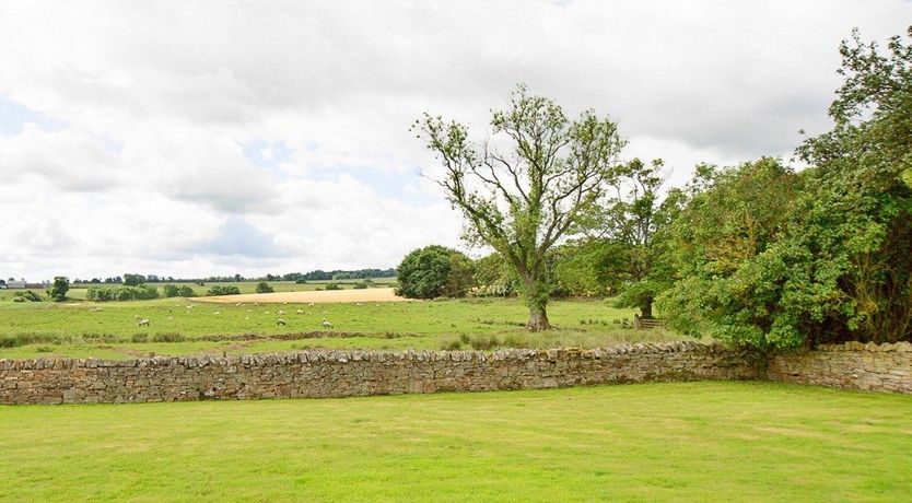 Photo of Casting Stones