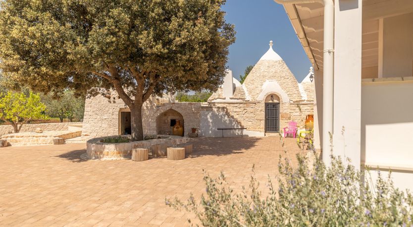 Photo of The Cream of the Crop