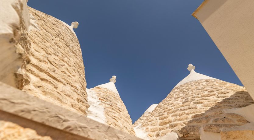 Photo of The Cream of the Crop