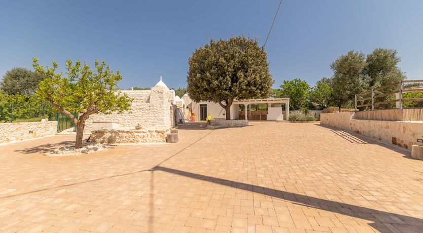 Photo of The Cream of the Crop