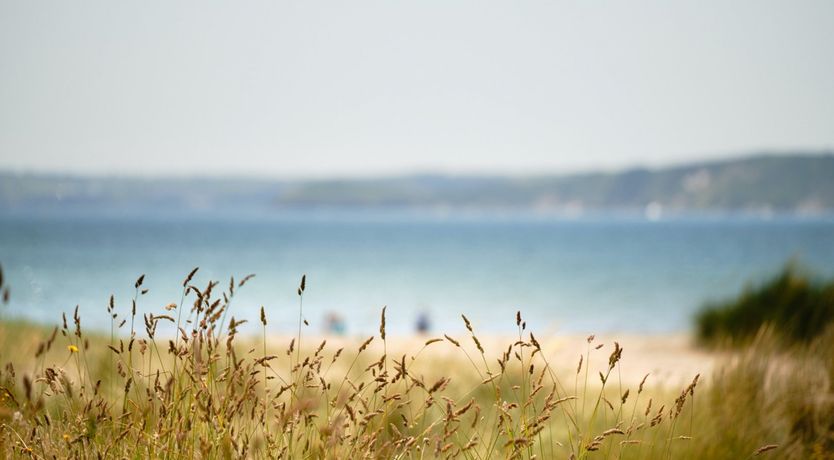 Photo of Primrose Cottage