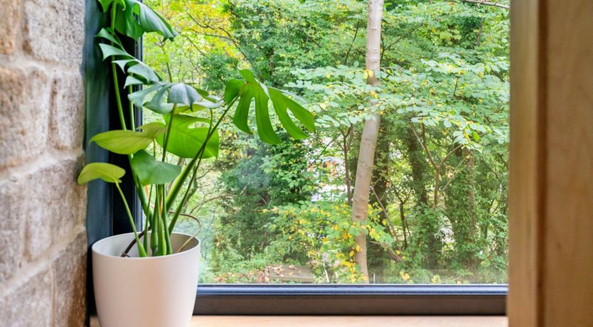 Photo of Woodland Wish