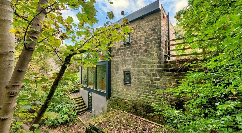 Photo of Woodland Wish