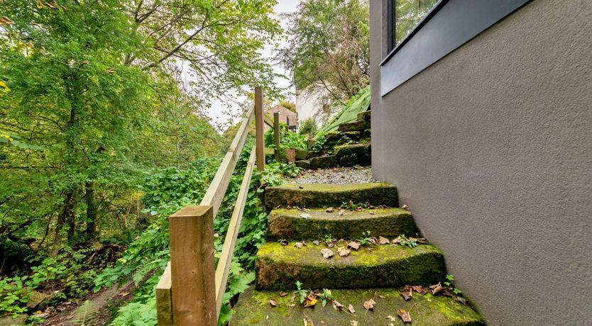 Photo of Woodland Wish