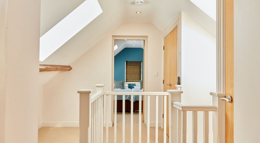 Photo of Sage the Owl