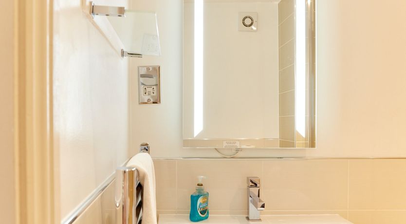 Photo of Sage the Owl