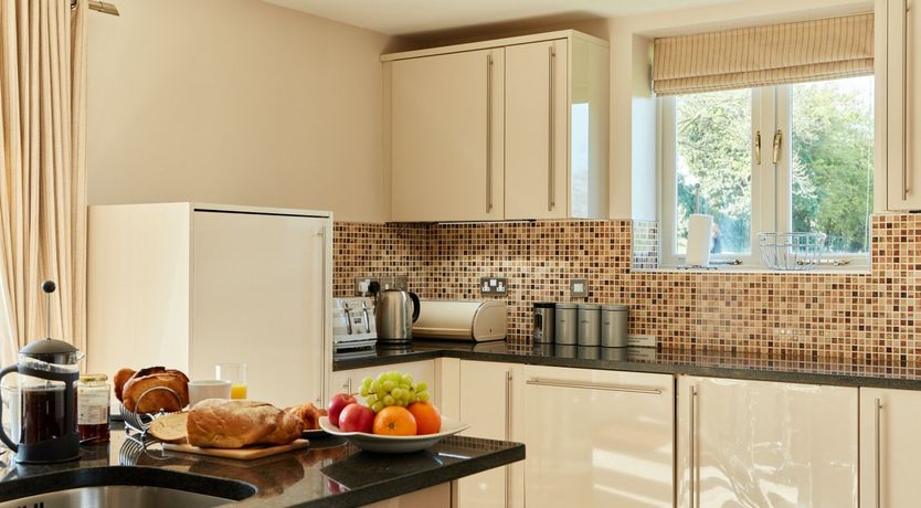 Photo of Sage the Owl