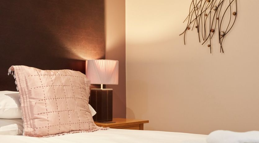 Photo of Sage the Owl