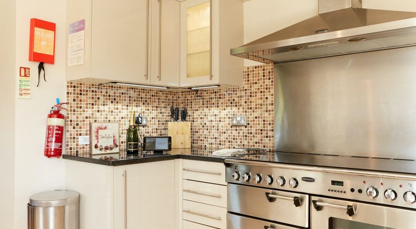 Photo of Sage the Owl